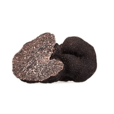 Tartufo Nero Pregiato (Tuber Melanosporum Vitt.)